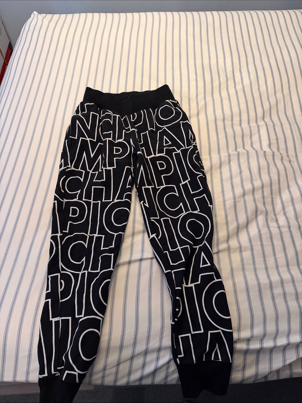 Champion Sweatpants